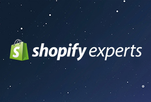 Lightyear Shopify Experts